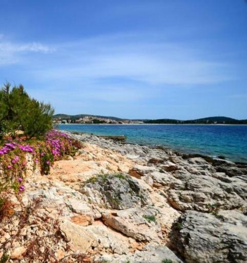 Apartments Gloria Primošten Εξωτερικό φωτογραφία